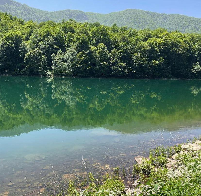 Ethno Village & Resort Coric Mojkovac Exterior foto