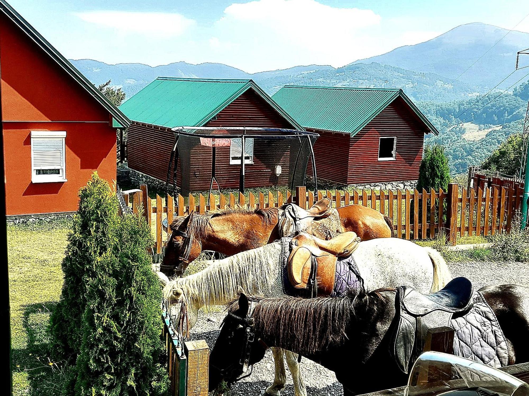 Ethno Village & Resort Coric Mojkovac Exterior foto