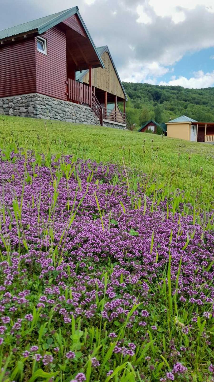 Ethno Village & Resort Coric Mojkovac Exterior foto